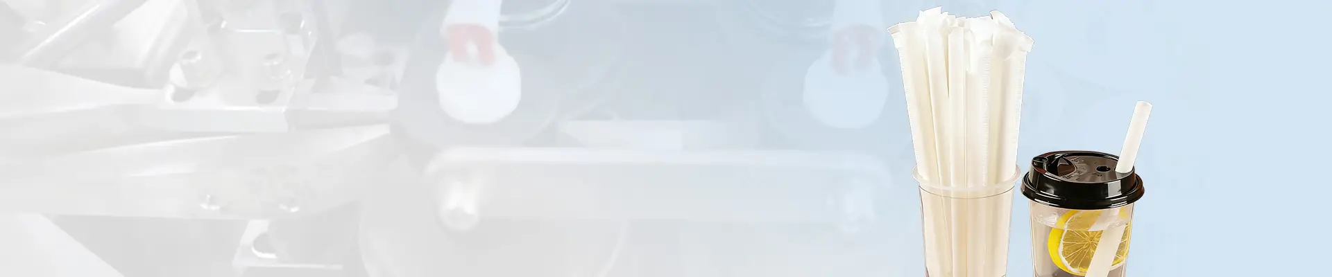 Straw Packaging Machine